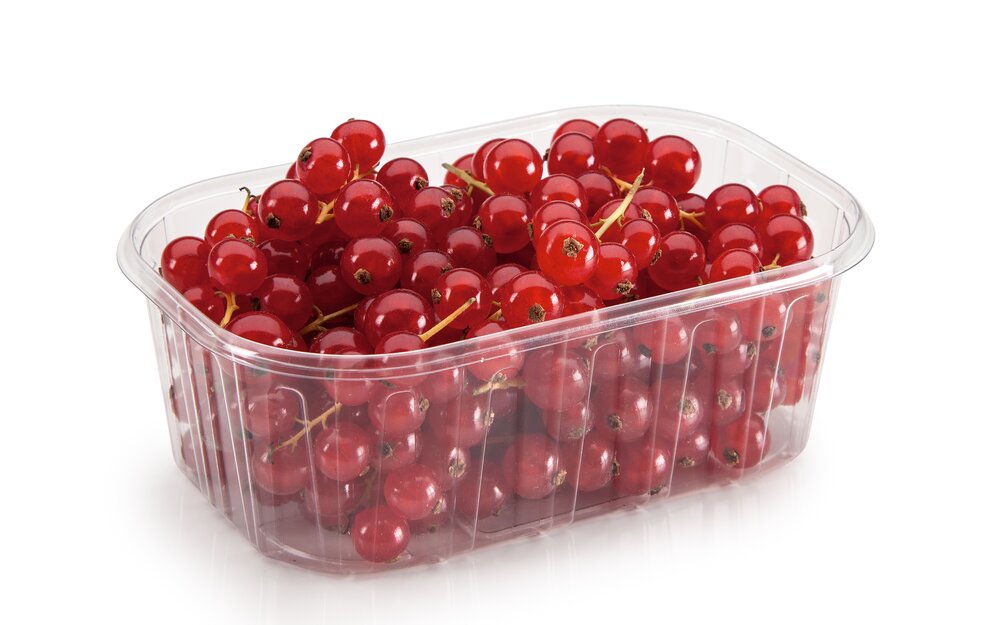 Thermoforming Packaging - Trays Thermoforming Packaging - Trays