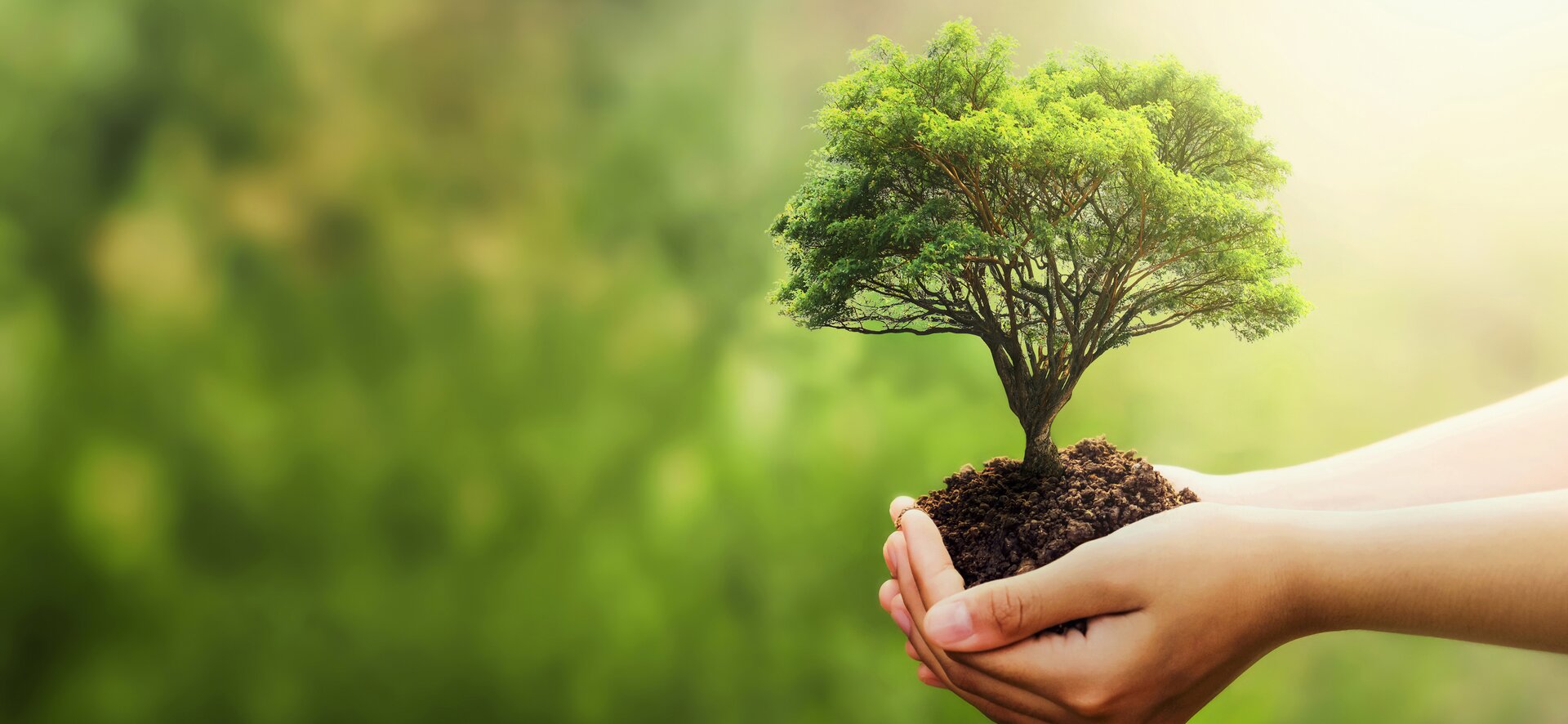 Ecological Sustainability | Brückner Servtec