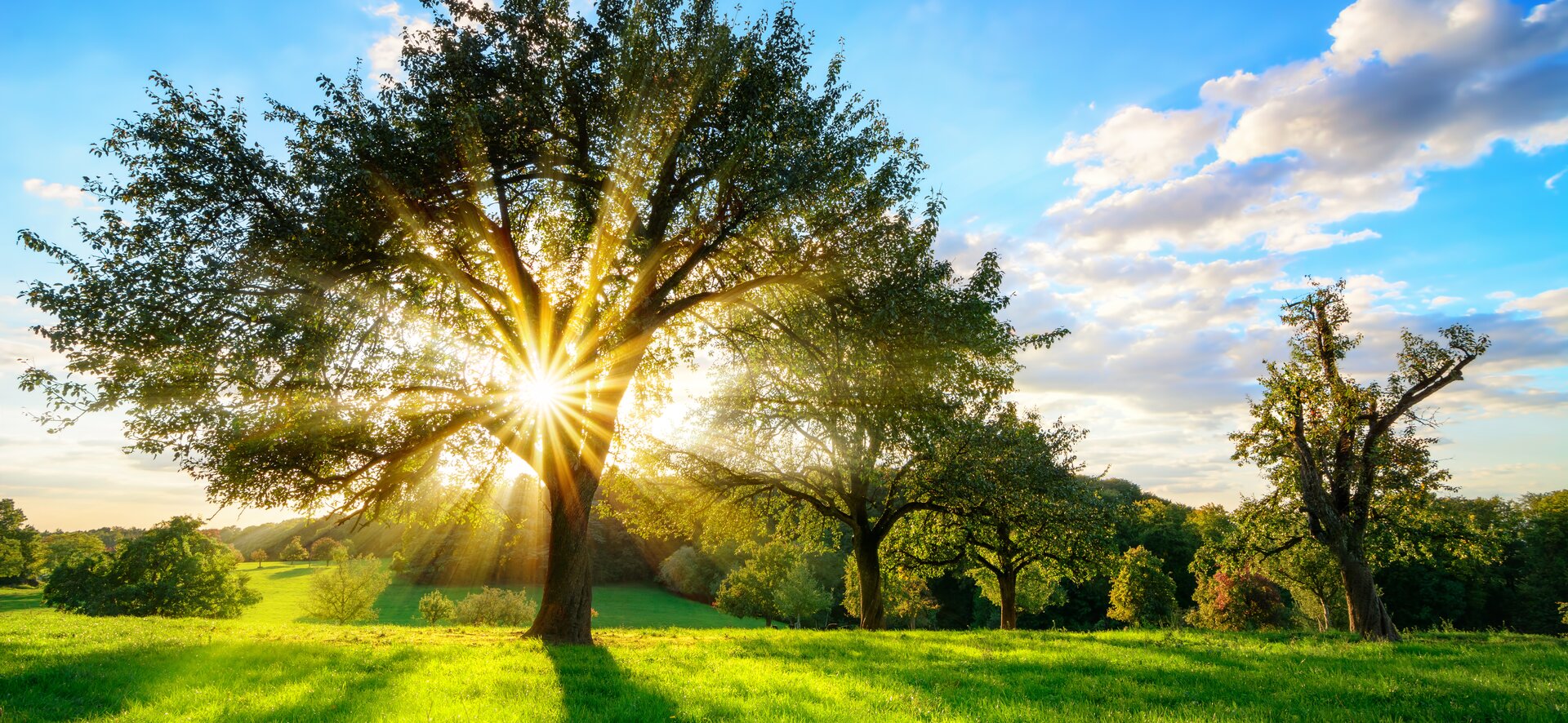 Sustainability | Brückner Servtec