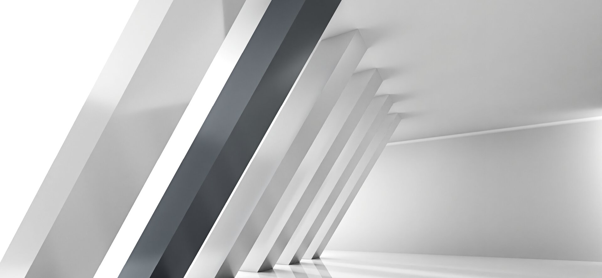 Brueckner Group USA: Disclaimer / Privacy Policy