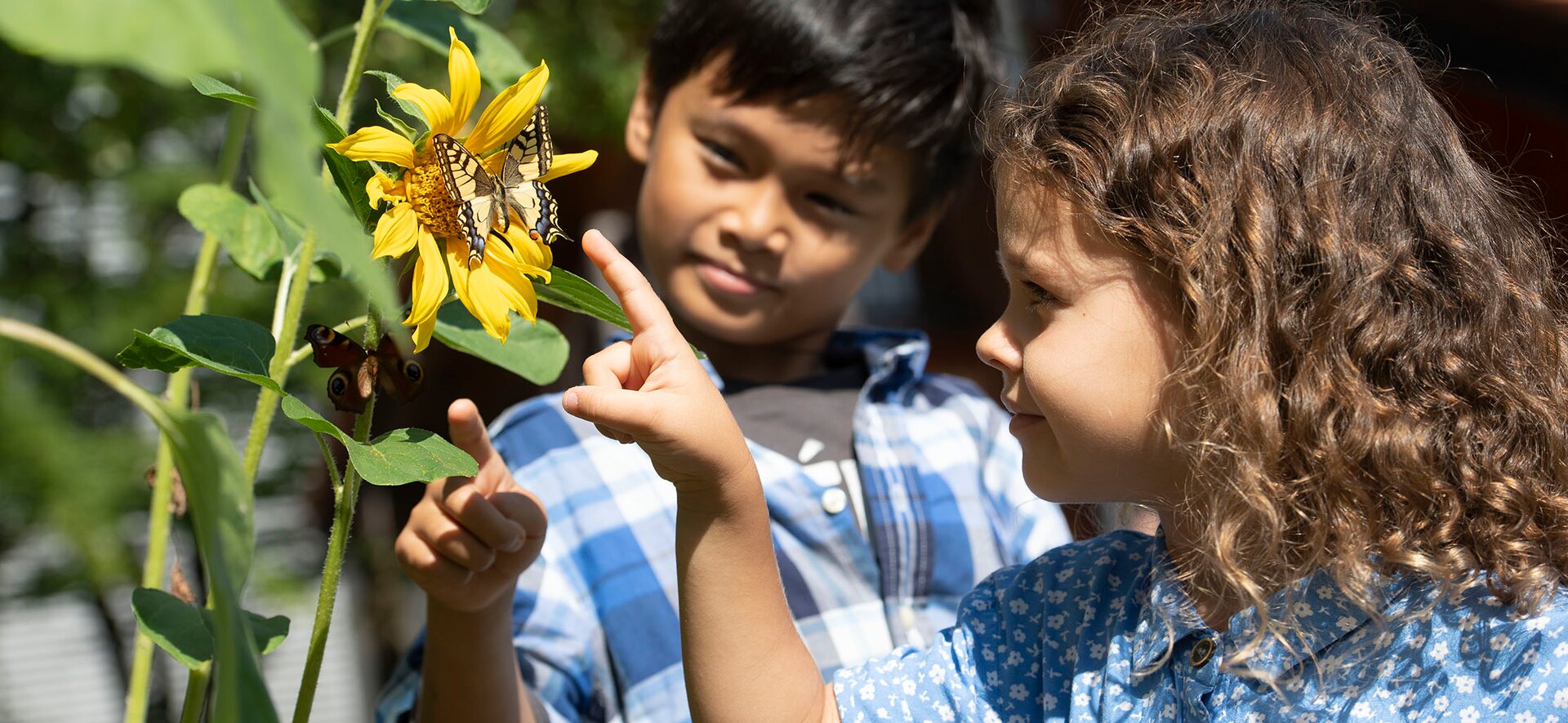 Brückner Maschinenbau: Ecological Sustainability