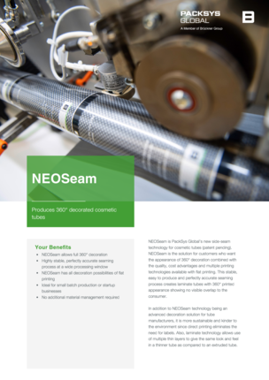 Flyer NEOSeam