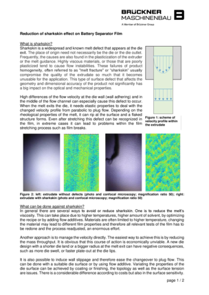 Sharkskin.pdf